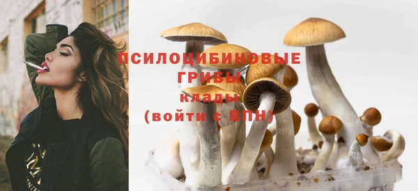 прущая мука Баксан