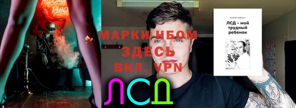молекула духа Балахна